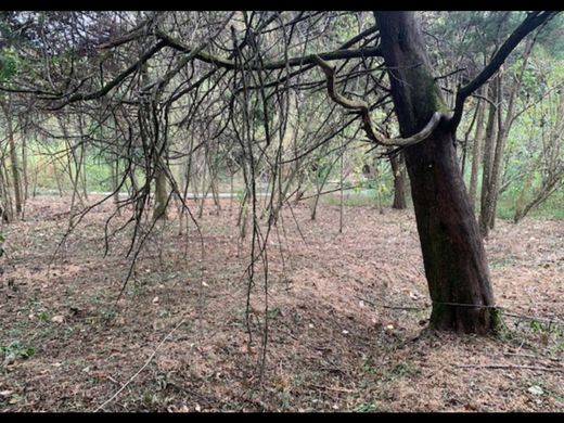 Curridabat, Provincia de San Joséの土地