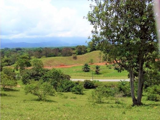 Rustykalny lub Wiejski w Golfito, Provincia de Puntarenas