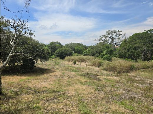 토지 / Santo Domingo, Provincia de Heredia