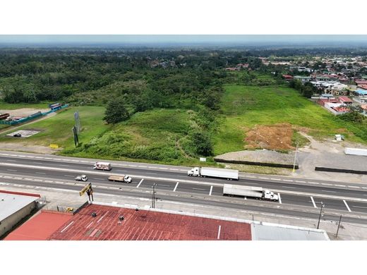 Boerderij in Guápiles, Pococí