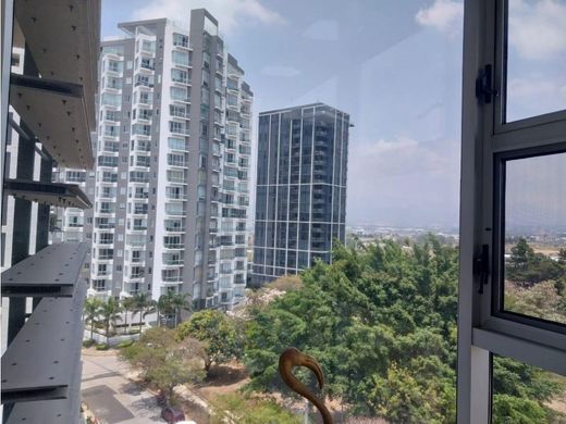 Piso / Apartamento en Mata de Palo, Cantón de San José