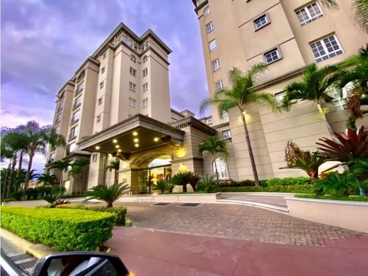 Daire Escazú, Provincia de San José