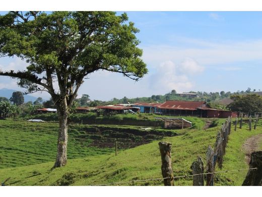Boerderij in San Isidro de Coronado, Vázquez de Coronado