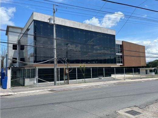 Kamienica w Santa Ana, Provincia de San José