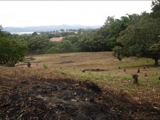 Coyol, Cantón de Alajuelaの土地
