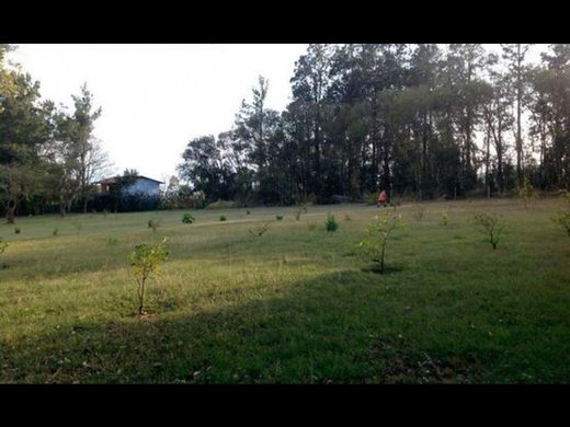 San Rafael, Provincia de Herediaの土地