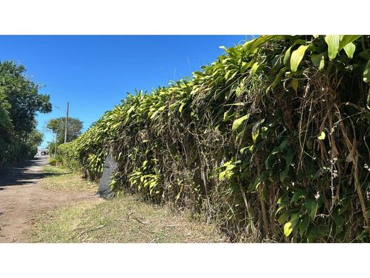 Αγροτεμάχιο σε Santo Tomás, Provincia de Heredia