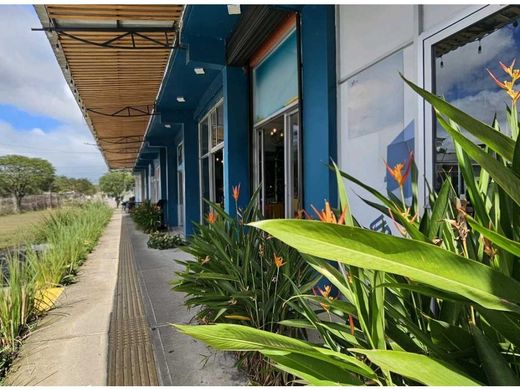 Ξενοδοχείο σε La Fortuna, Bagaces