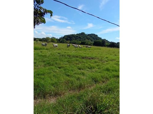 Rustik ya da çiftlik Nicoya, Provincia de Guanacaste
