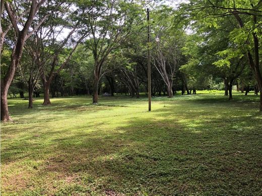 Land for sale in Sardinal