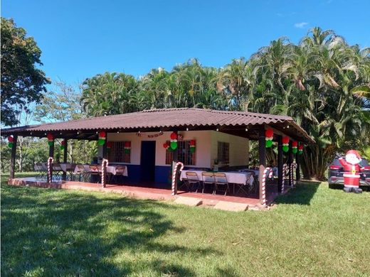Ferme à Turrúcares, Cantón de Alajuela