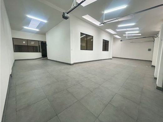 호화 저택 / 산호세, Cantón de San José