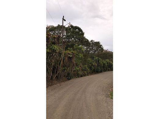 Land in Naranjo, Provincia de Alajuela