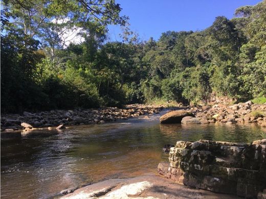 토지 / Tarapoto, Provincia de San Martín