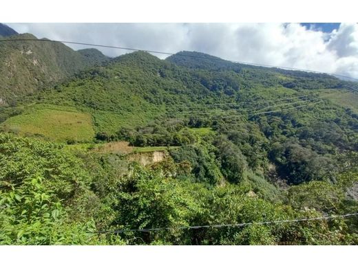 Terrain à Santa Teresa, Provincia de La Convención