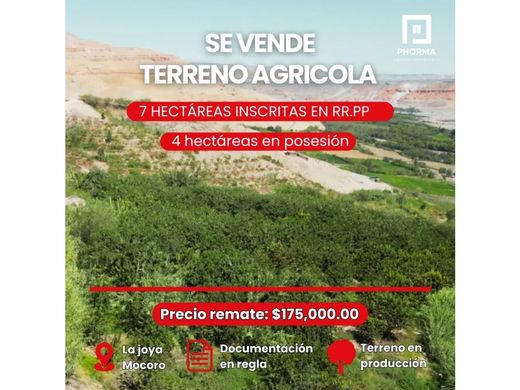 Ferme à La Joya, Provincia de Arequipa