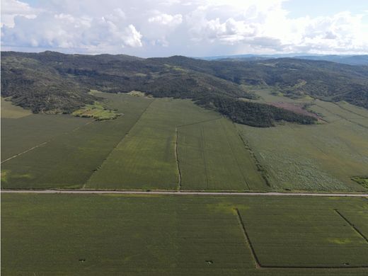 Terrain à Tarapoto, Provincia de San Martín