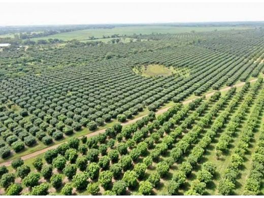 Сельский Дом, La Loma, Provincia de Piura