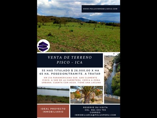 토지 / Pisco, Provincia de Pisco