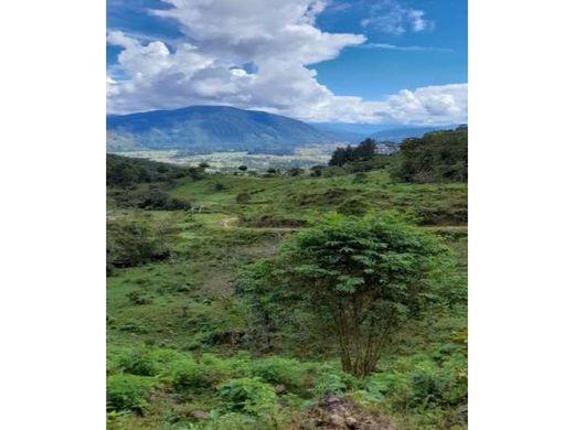 Teren w Oxapampa, Provincia de Oxapampa