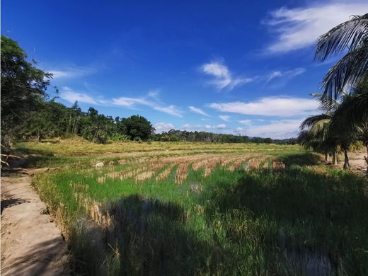 Grond in Tarapoto, Provincia de San Martín