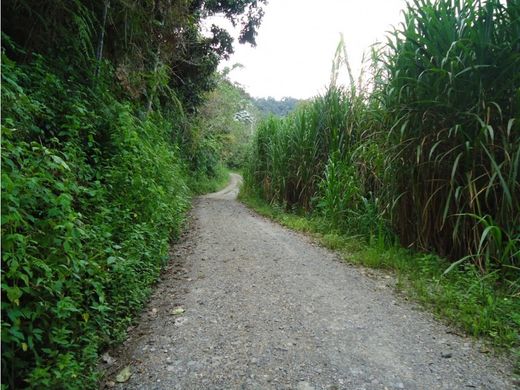 Demeure ou Maison de Campagne à La Merced, Chanchamayo