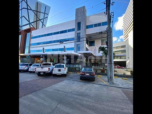Office in Santa Cruz de la Sierra, Departamento de Santa Cruz