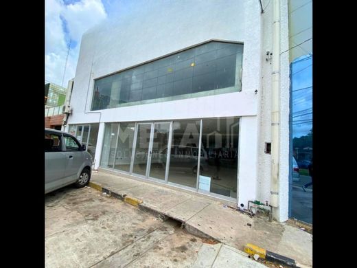 Apartment in Santa Cruz de la Sierra, Departamento de Santa Cruz