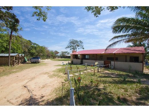 Rural or Farmhouse in Santa Cruz de la Sierra, Departamento de Santa Cruz