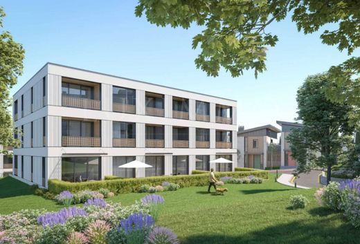 Daire Sofya, Stolichna Obshtina