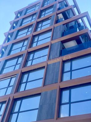 Daire Sofya, Stolichna Obshtina