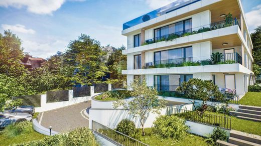 Daire Sofya, Stolichna Obshtina