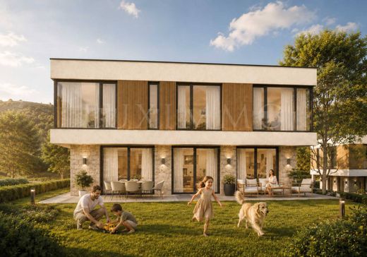 Hôtel particulier à Herakovo, Obshtina Bozhurishte
