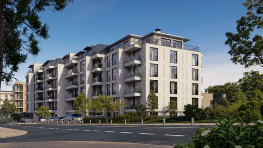 Daire Sofya, Stolichna Obshtina