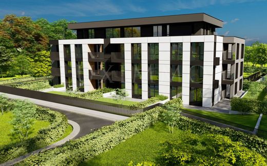 Daire Sofya, Stolichna Obshtina