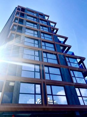 Daire Sofya, Stolichna Obshtina