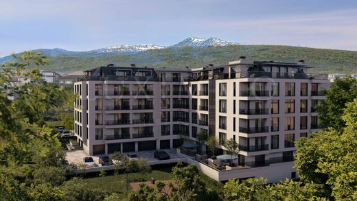 Daire Sofya, Stolichna Obshtina