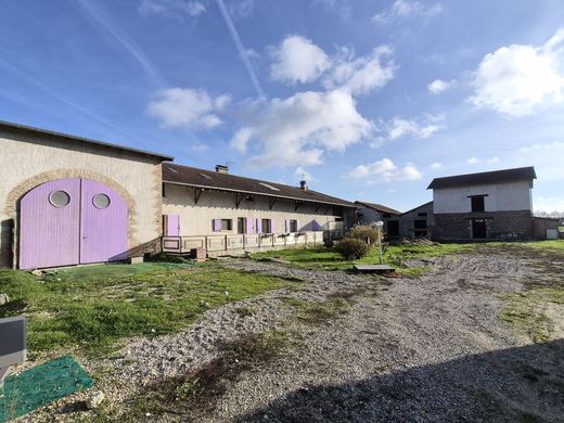 Luxus-Haus in Saint-Paul-de-Varax, Ain