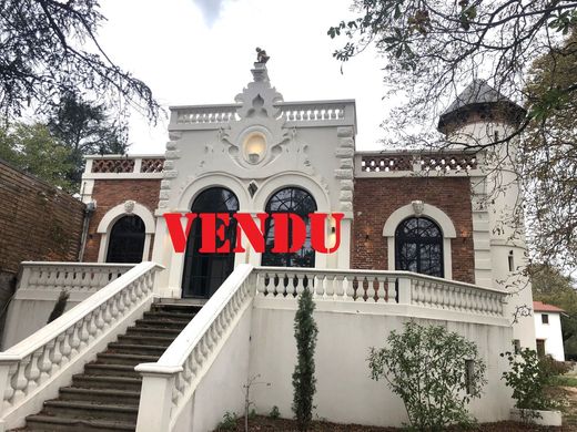 Casa de lujo en Saint-Cyprien, Loira