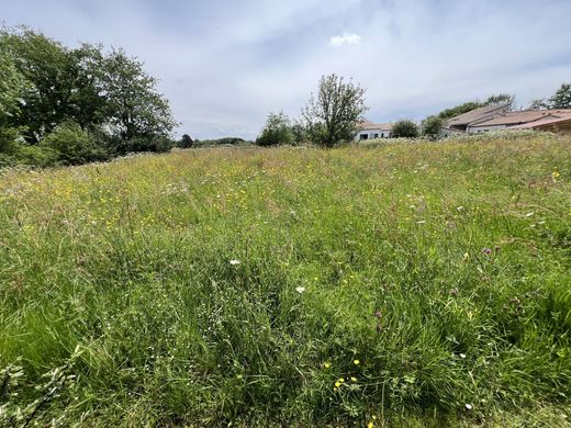 Terrain à Vertou, Loire-Atlantique
