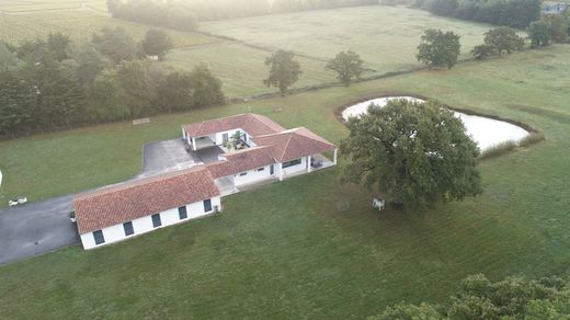 Luxury home for sale in Nantes