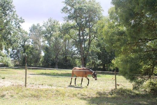 Casa de lujo en Fleurance, Gers