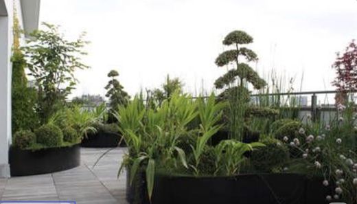 Daire Tassin-la-Demi-Lune, Rhône