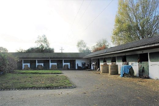 호화 저택 / Beaumont-de-Lomagne, Tarn-et-Garonne