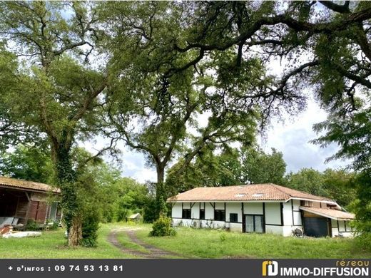 Casa de luxo - Messanges, Landes