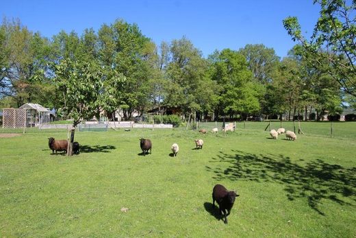 Lüks ev Pamiers, Ariège