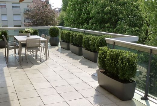 Apartament w Ferney-Voltaire, Ain