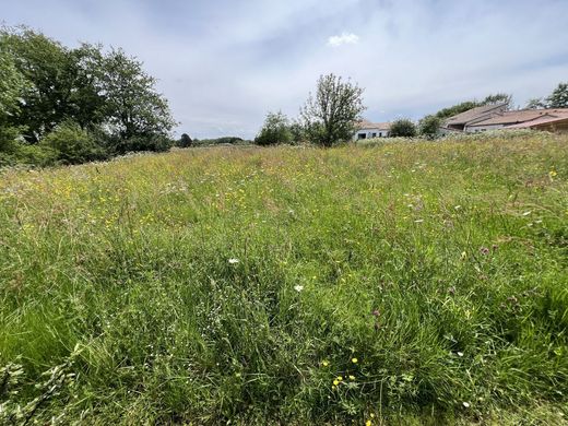 Land in Vertou, Loire-Atlantique
