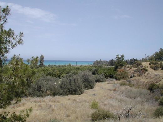 Terreno a Pafo, Paphos District