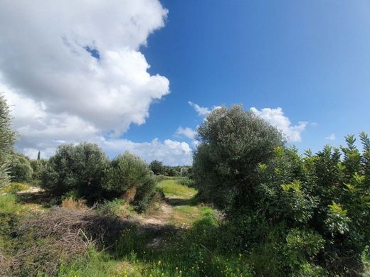 Terreno a Aphrodite Hills, Paphos District